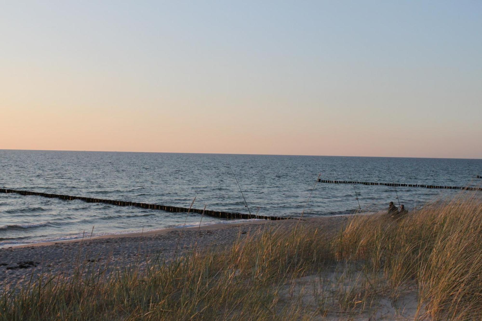 -"Strandhaus Friedrich"- Dierhagen Esterno foto